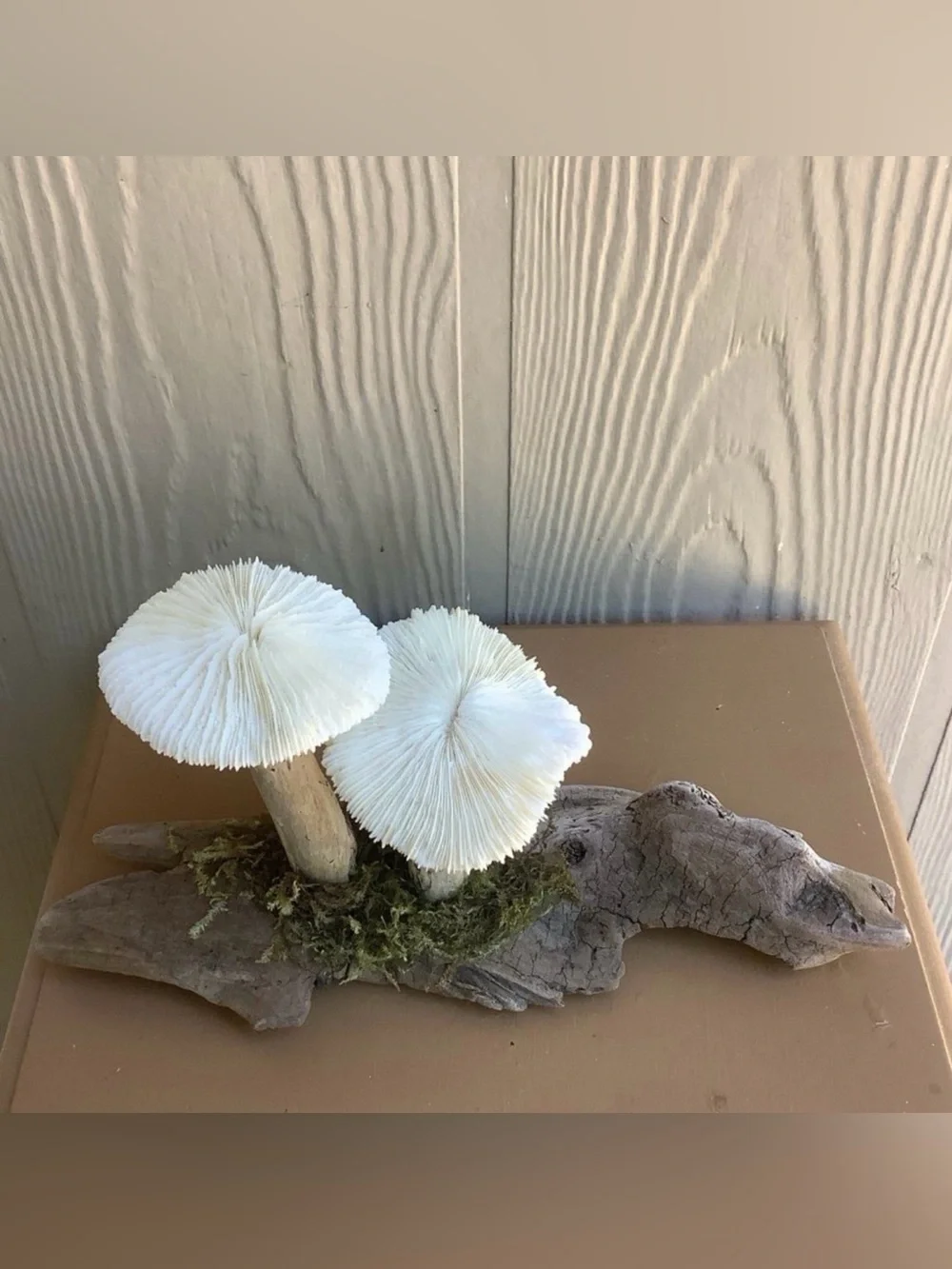 Driftwood Art, Driftwood and Coral Mushrooms, Mushroom Art, Coastal Art